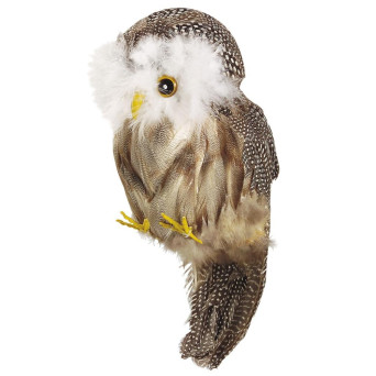 Búho de Mago con Plumas