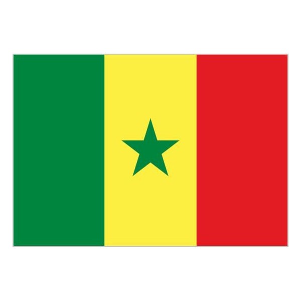 Bandera de Senegal de Poliéster Microperforada Reforzada
