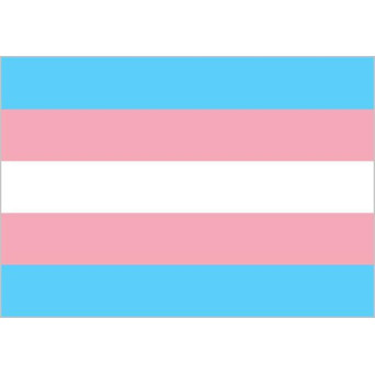 Bandera de Transgénero de Poliéster Microperforada Reforzada