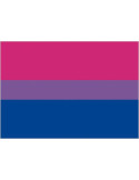 Bandera de Bisexualidad de 90 x 150 Centímetros de Poliéster para Interior