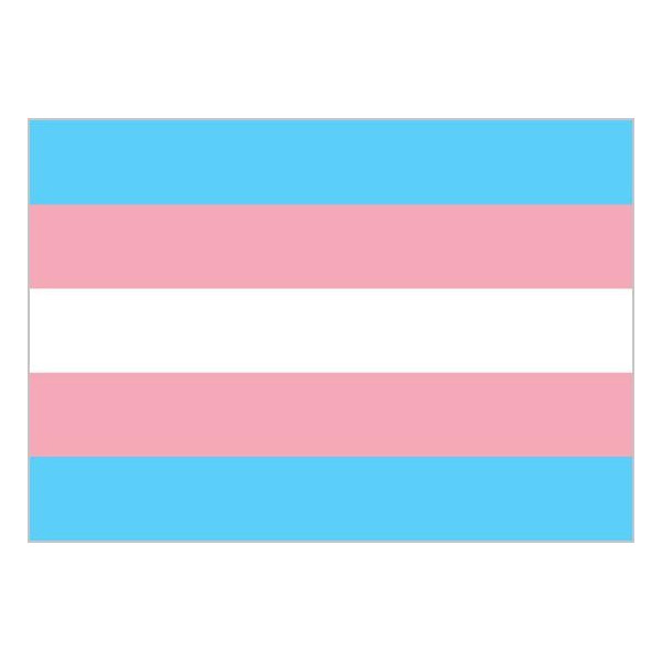 'Bandera de Transgénero de 90 x 150 Centímetros de Poliéster para Interior