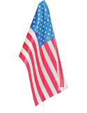 Bandera de Estados Unidos de Plástico de 20 x 30 Centímetros con Palo