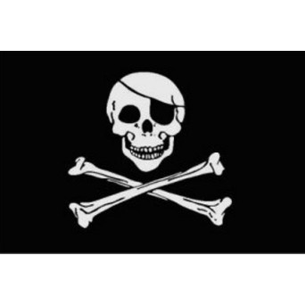 Bandera de Pirata de 90 x 150 Centímetros de Poliéster para Interior