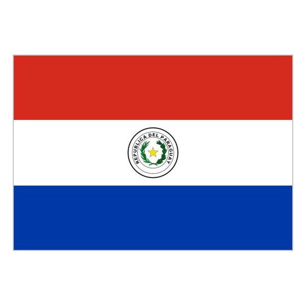 Bandera de Paraguay de Poliéster Microperforada Reforzada