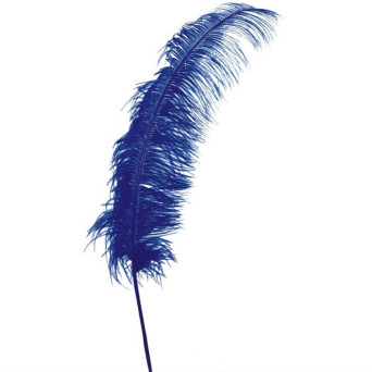 Pluma de Avestruz de 50 Centímetros de color Azul
