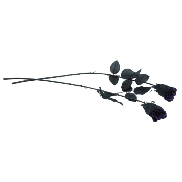 Rosa de 42 Centímetros de color Negro