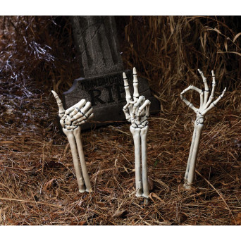 Brazo de Esqueleto 3 Unidades