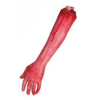 Brazo Descuartizado de 35 Centímetros
