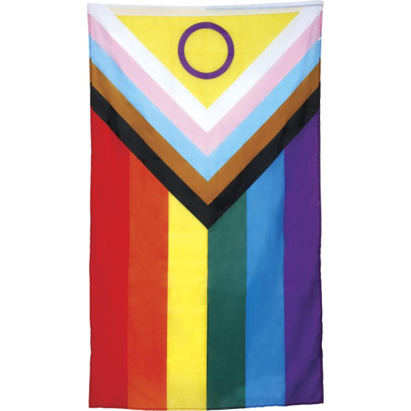 Bandera de LGTBIQ+ de 90 x 150 Centímetros