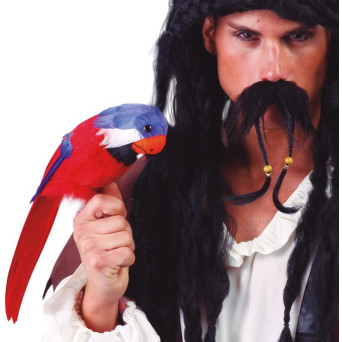 Loro de 35 Centímetros