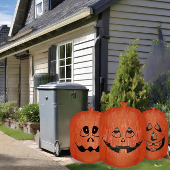 Bolsa de Calabaza 3 Unidades