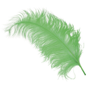 Pluma de Avestruz de 50 Centímetros de color Verde