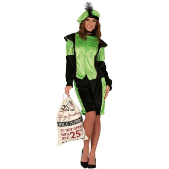 Disfraz de Paje Real de color Verde para Adulto