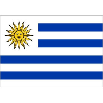Bandera de Uruguay de Poliéster Microperforada Reforzada