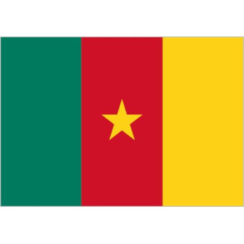 Bandera de Camerún de Poliéster Microperforada Reforzada