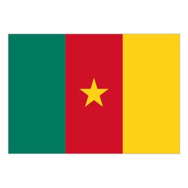 'Bandera de Camerún de Poliéster Microperforada Reforzada