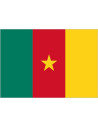 Bandera de Camerún de Poliéster Microperforada Reforzada