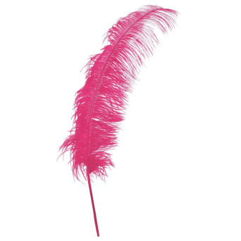 Pluma de Avestruz de 50 Centímetros de color Rosa